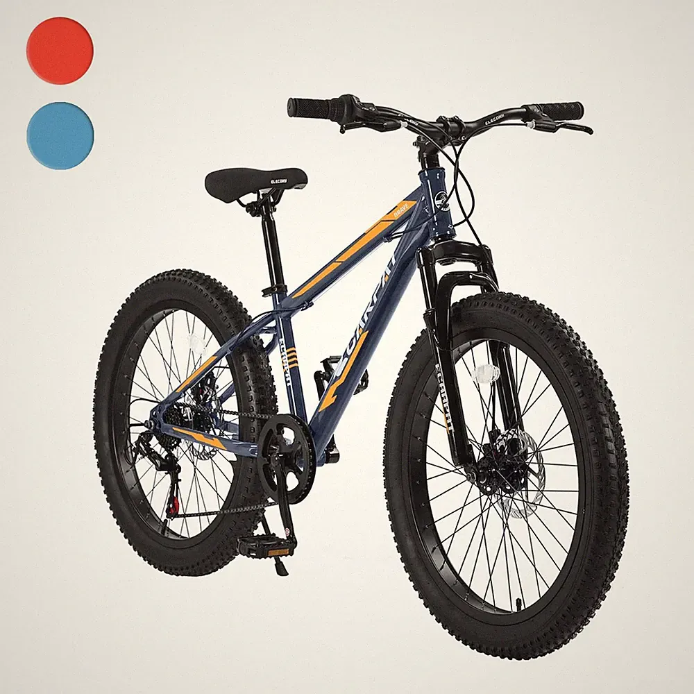 Disc Fat Tire Bike