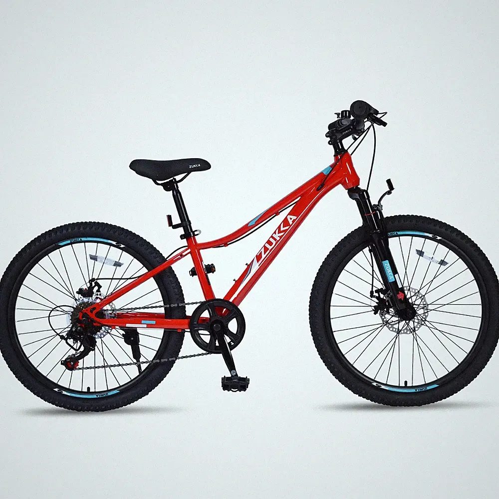 24 Inch 6-Speed Kids Mountain Bike with Disc Brakes, Red