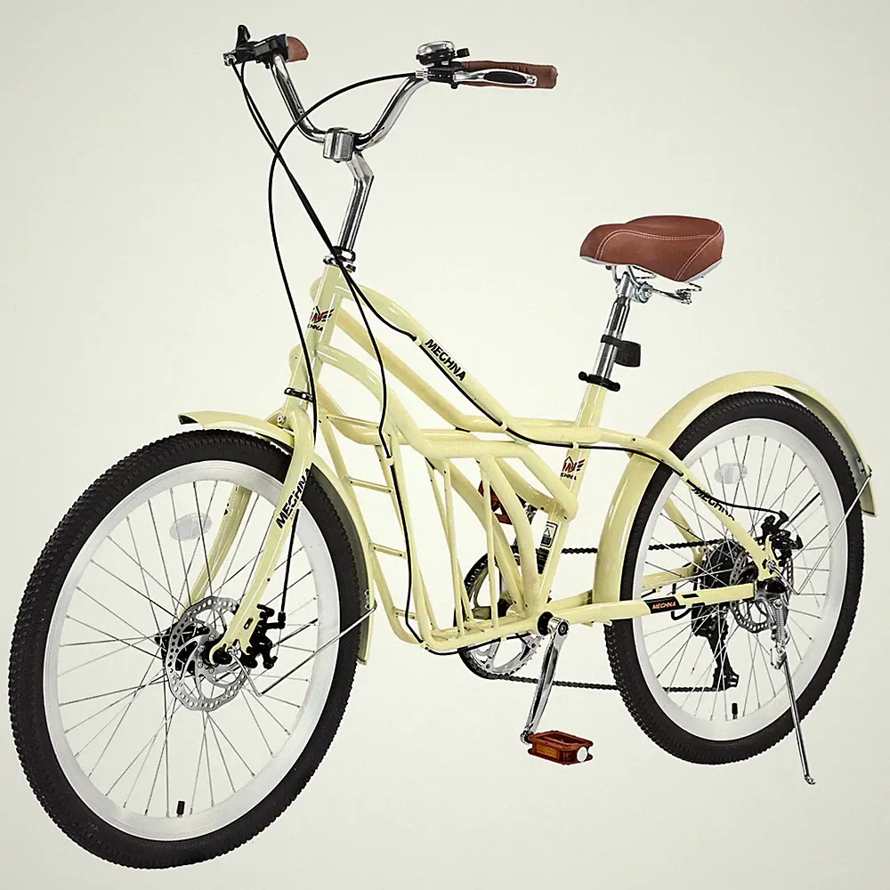 Disc Beach Cruiser