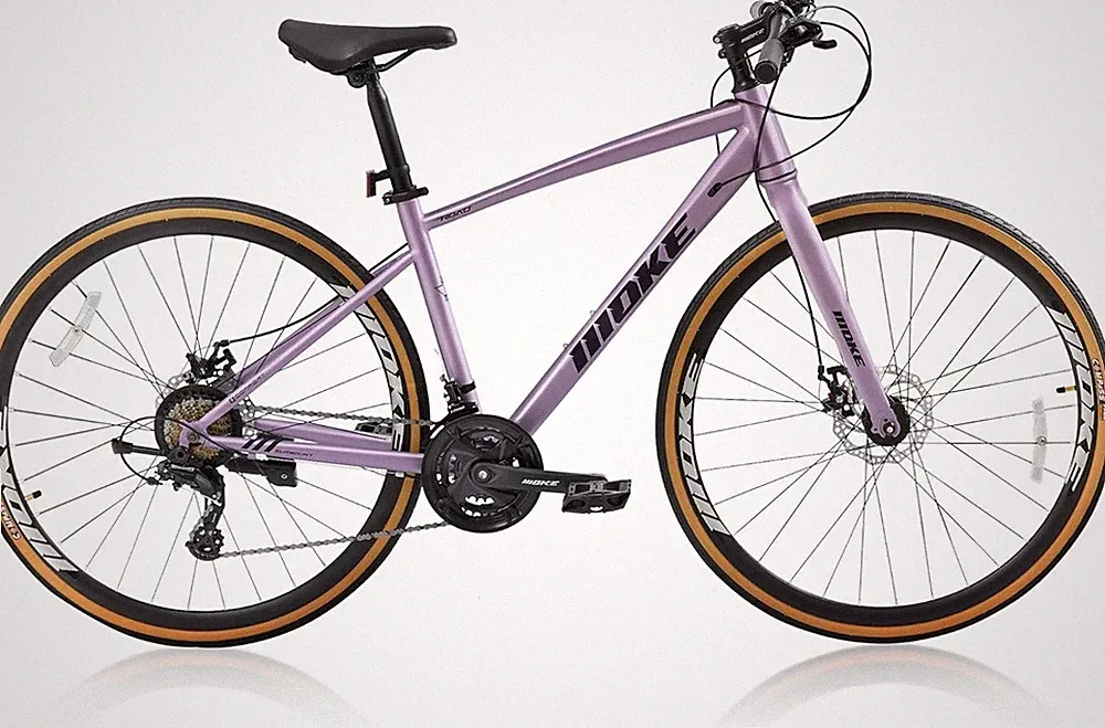 Disc Commuter Bike