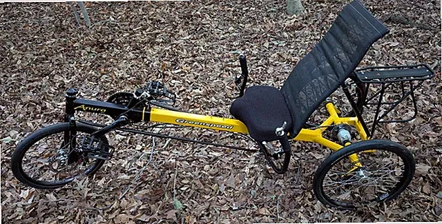 GreenSpeed Anura RL Recumbent Trike - Delta Style Tricycle - Over $3,000