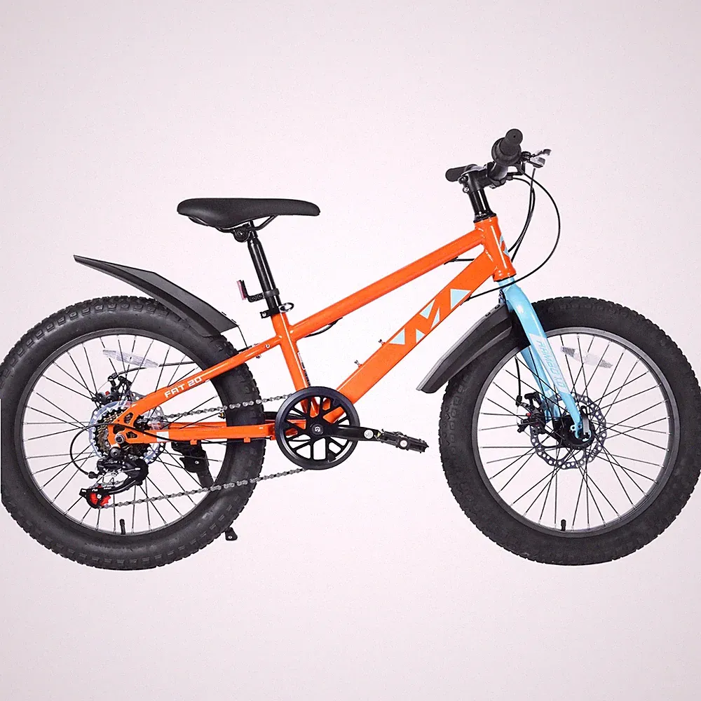 Disc Kids Bike